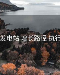 岛遇发电站 增长路径 执行要点