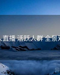 伊人直播 活跃人群 全景观察