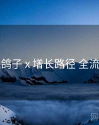 电鸽子 x 增长路径 全流程