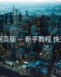 电鸽网页版 — 新手教程 快速上手