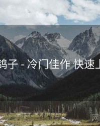 电鸽子 - 冷门佳作 快速上手