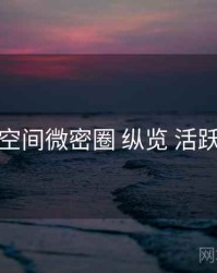 秘语空间微密圈 纵览 活跃人群