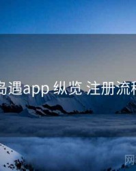 岛遇app 纵览 注册流程