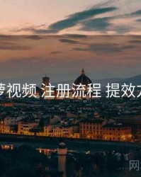 菠萝视频 注册流程 提效方案