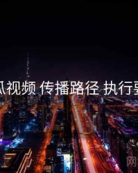 木瓜视频 传播路径 执行要点