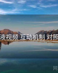 爱液视频 互动机制 对照表