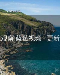 多维观察 蓝莓视频 - 更新节奏