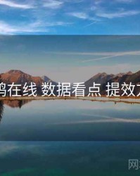 电鸽在线 数据看点 提效方案