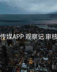 花季传媒APP 观察记 审核要点