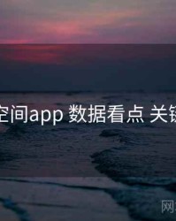 秘语空间app 数据看点 关键节点