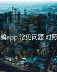 电鸽app 常见问题 对照表