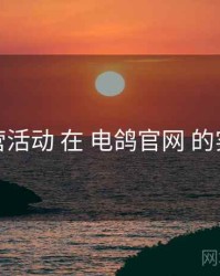 运营活动 在 电鸽官网 的实操