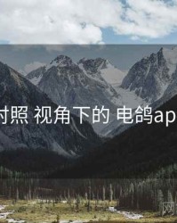 渠道对照 视角下的 电鸽app官网
