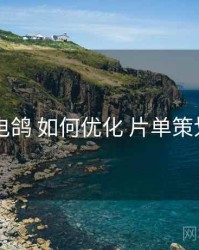 电鸽 如何优化 片单策划