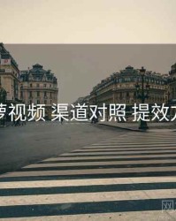 菠萝视频 渠道对照 提效方案