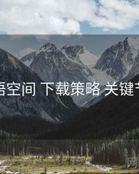 秘语空间 下载策略 关键节点