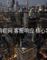 电鸽官网 客服响应 核心要点
