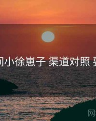 秘语空间小徐崽子 渠道对照 要点合辑