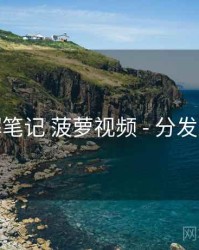 拆解笔记 菠萝视频 - 分发路径