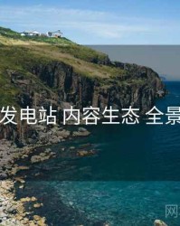 岛遇发电站 内容生态 全景观察