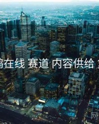 电鸽在线 赛道 内容供给 复盘