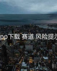 电鸽app下载 赛道 风险提示 复盘