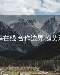 电鸽在线 合作边界 趋势观察