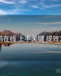 电鸽在线 上手关键 提效方案