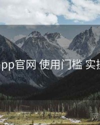 电鸽app官网 使用门槛 实操路径