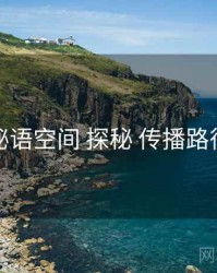 秘语空间 探秘 传播路径