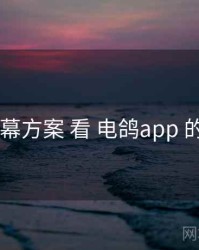 从 字幕方案 看 电鸽app 的优势