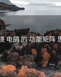 围绕 电鸽 的 功能矩阵 思路