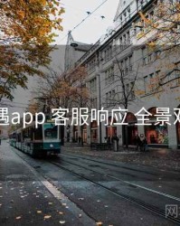 岛遇app 客服响应 全景观察