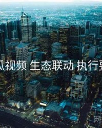 丝瓜视频 生态联动 执行要点