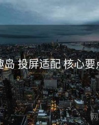 趣岛 投屏适配 核心要点