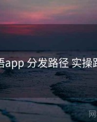秘语app 分发路径 实操路径