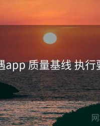 岛遇app 质量基线 执行要点
