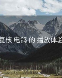 复核 电鸽 的 播放体验