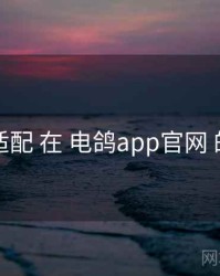 多端适配 在 电鸽app官网 的实操