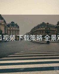 丝瓜视频 下载策略 全景观察