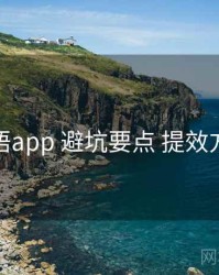 秘语app 避坑要点 提效方案