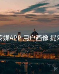 花季传媒APP 用户画像 提效方案