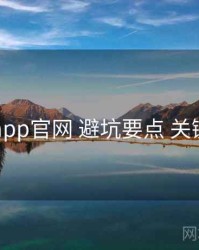 电鸽app官网 避坑要点 关键节点