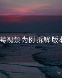 以 蓝莓视频 为例 拆解 版本差异
