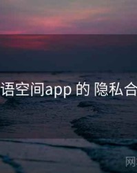 围绕 秘语空间app 的 隐私合规 思路