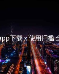 电鸽app下载 x 使用门槛 全流程