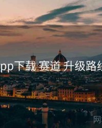 电鸽app下载 赛道 升级路线 复盘