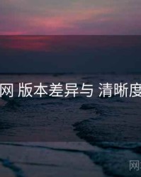 岛遇官网 版本差异与 清晰度与缓存