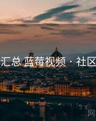 要点汇总 蓝莓视频 · 社区氛围