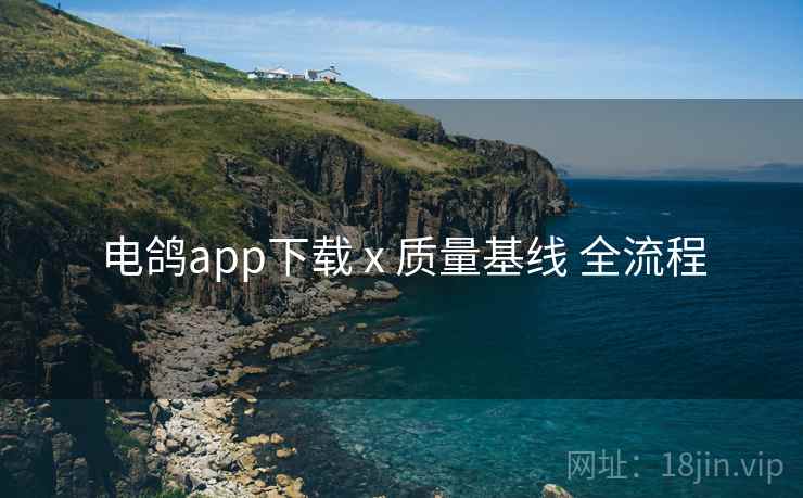 电鸽app下载 x 质量基线 全流程 电鸽app下载 x 质量基线 全流程